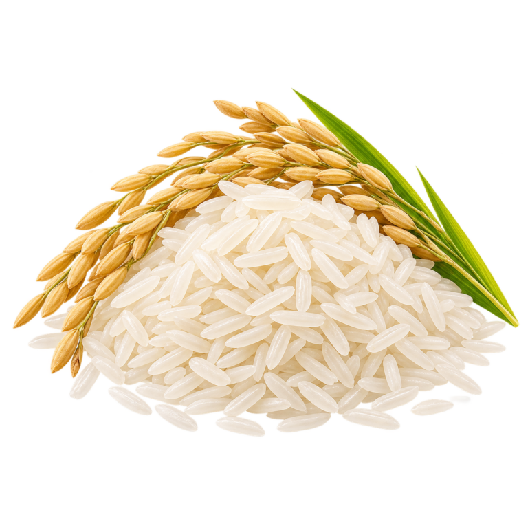 Ориз